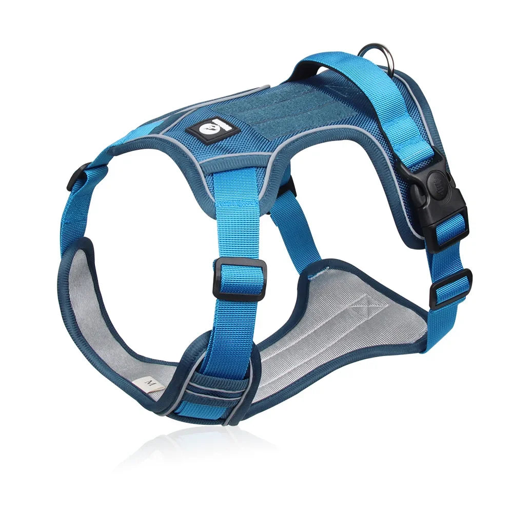 Harnais Confort+ Anti-Traction pour Chien — Sécurité & Liberté
