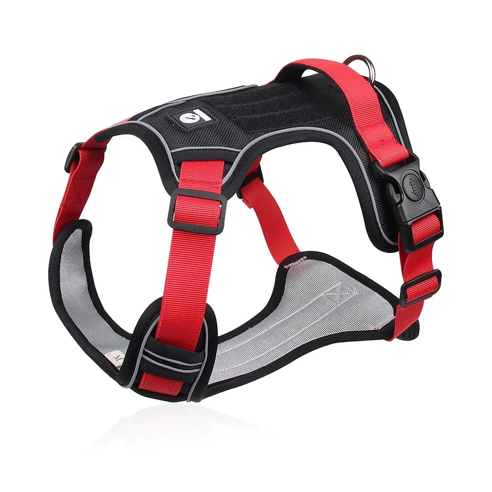 Harnais Confort+ Anti-Traction pour Chien — Sécurité & Liberté