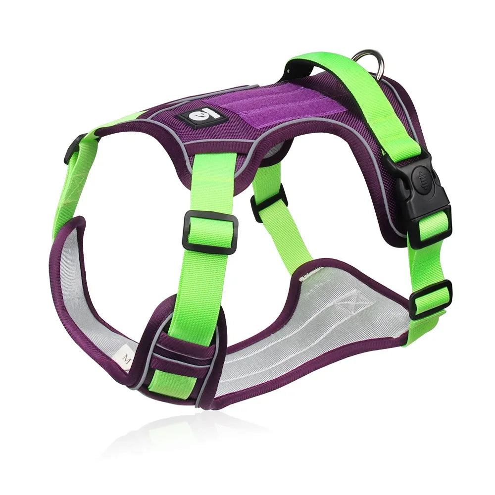 Harnais Confort+ Anti-Traction pour Chien — Sécurité & Liberté