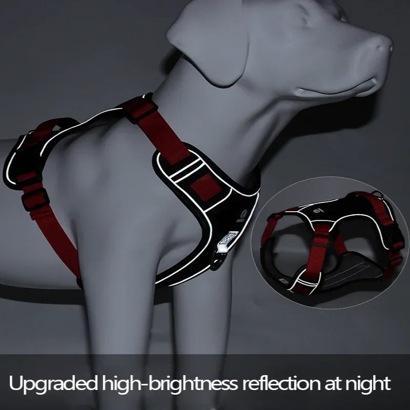 Harnais Confort+ Anti-Traction pour Chien — Sécurité & Liberté