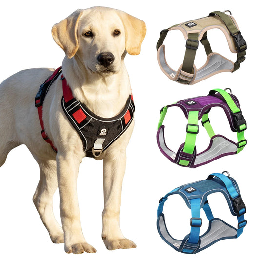 Harnais Confort+ Anti-Traction pour Chien — Sécurité & Liberté